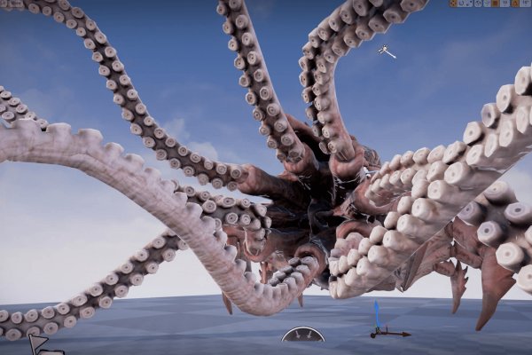 Kraken tor onion